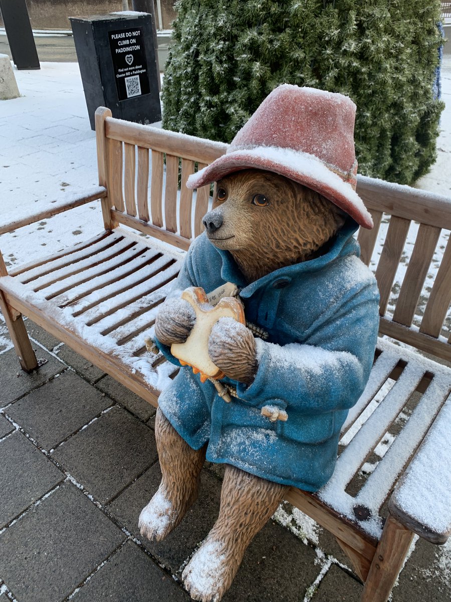 Paddington Bear in the snow.
#Chester