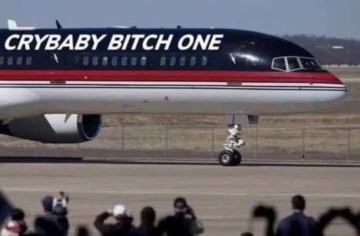 Gene Trevino tweet media