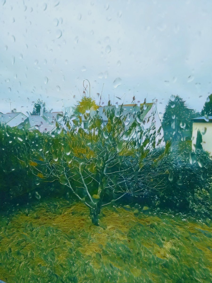 Drops on window is an opportunity for everyone to experiment my myopic vision of the world! 🤗

#drops #blur #picture #window #dropsonwindow #windowpic #blurpic #pictureoftheday #arty #effect