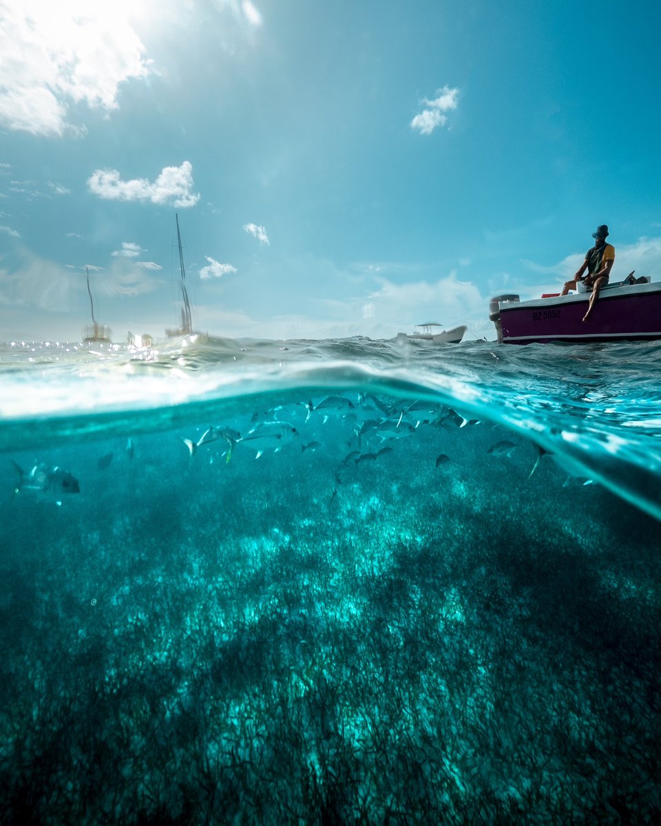 43 days till a return to the sea