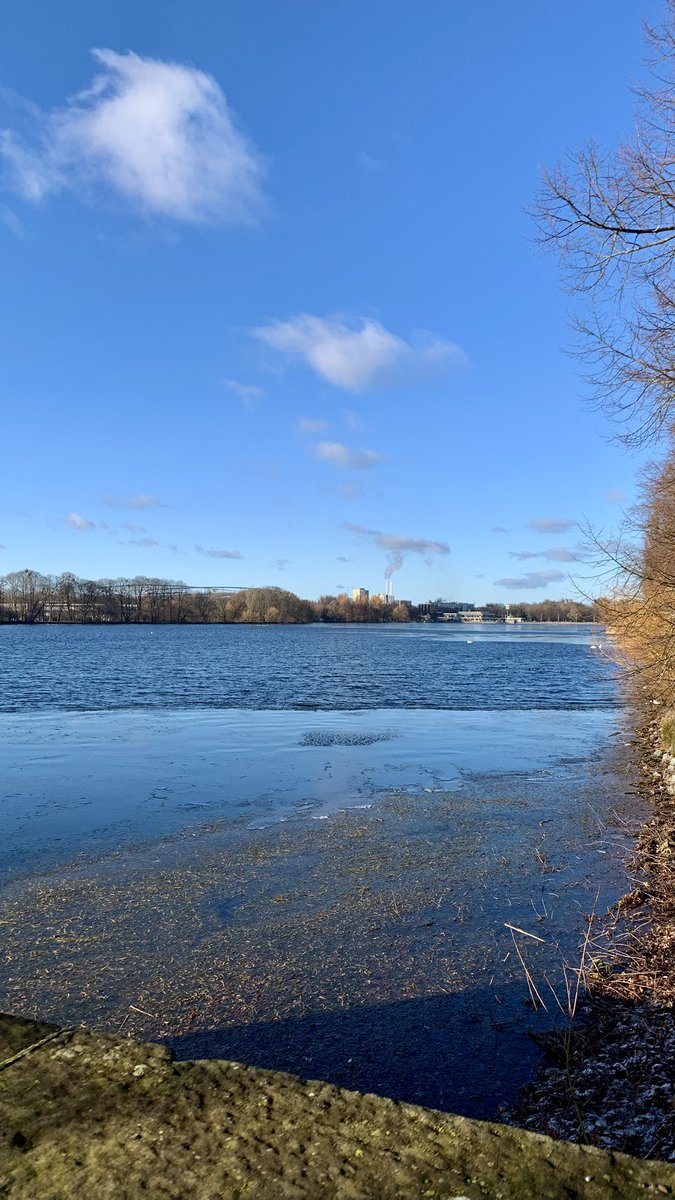 Berufs_Leben's tweet photo. An klaren Tagen 💝
#Hannover #Maschsee #DailyPictureTheme https://t.co/O3q4Kv1rsQ