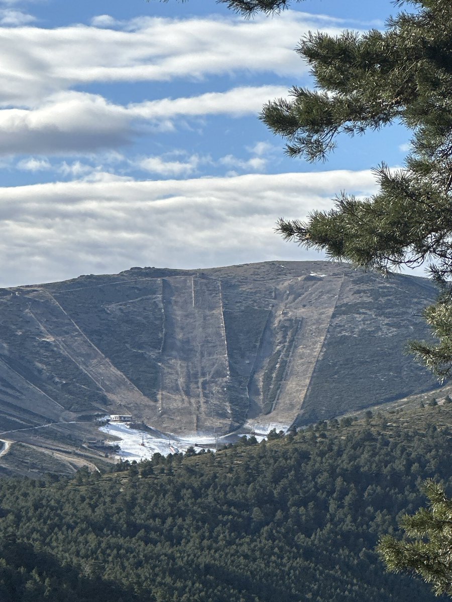 Cuando se decidió el cierre de las pistas de esquí de Navacerrada, Ayuso protestó mucho. La triste realidad: han disminuido muchísimo los días de nieve en sierra de Guadarrama. Así estaba hoy (12 de enero) la estación de valdesqui. Negar el cambio climático no elimina sus efectos