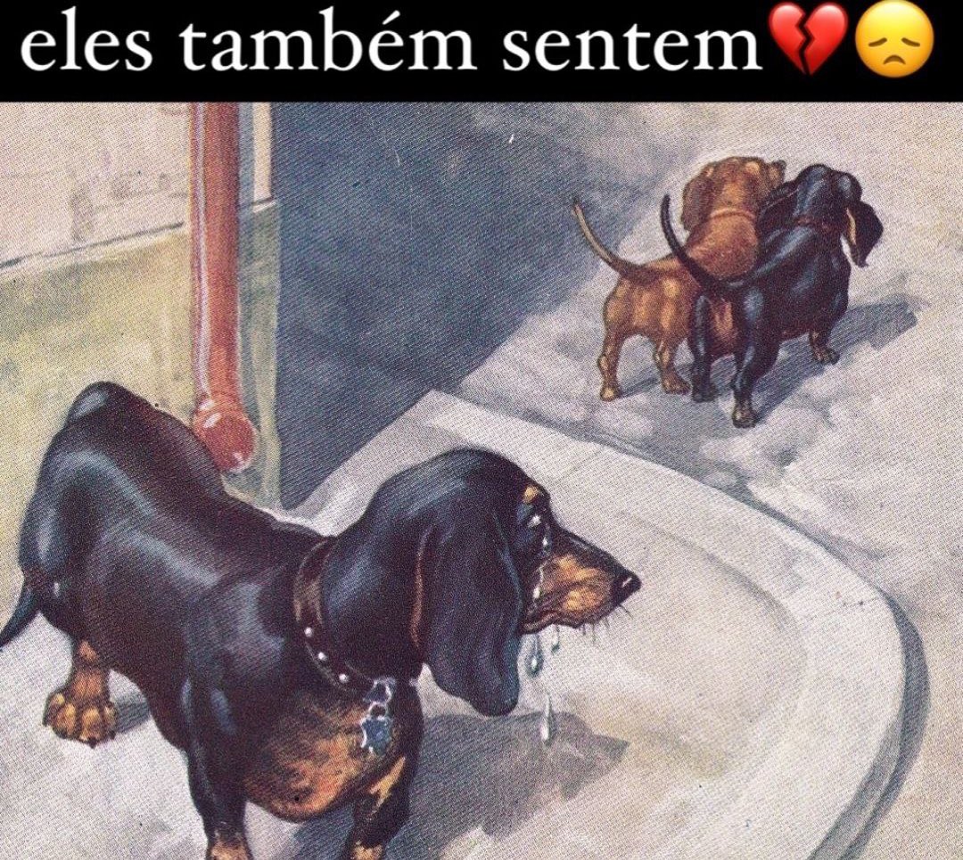 cachorro (@cachorrocore) on Twitter photo 