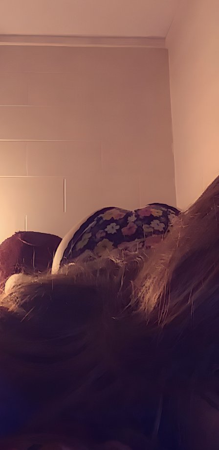 Ally 🧚‍♀️ tweet media