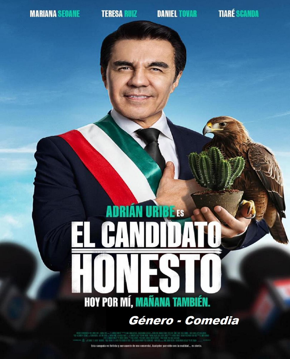 Pelisiplo tweet media