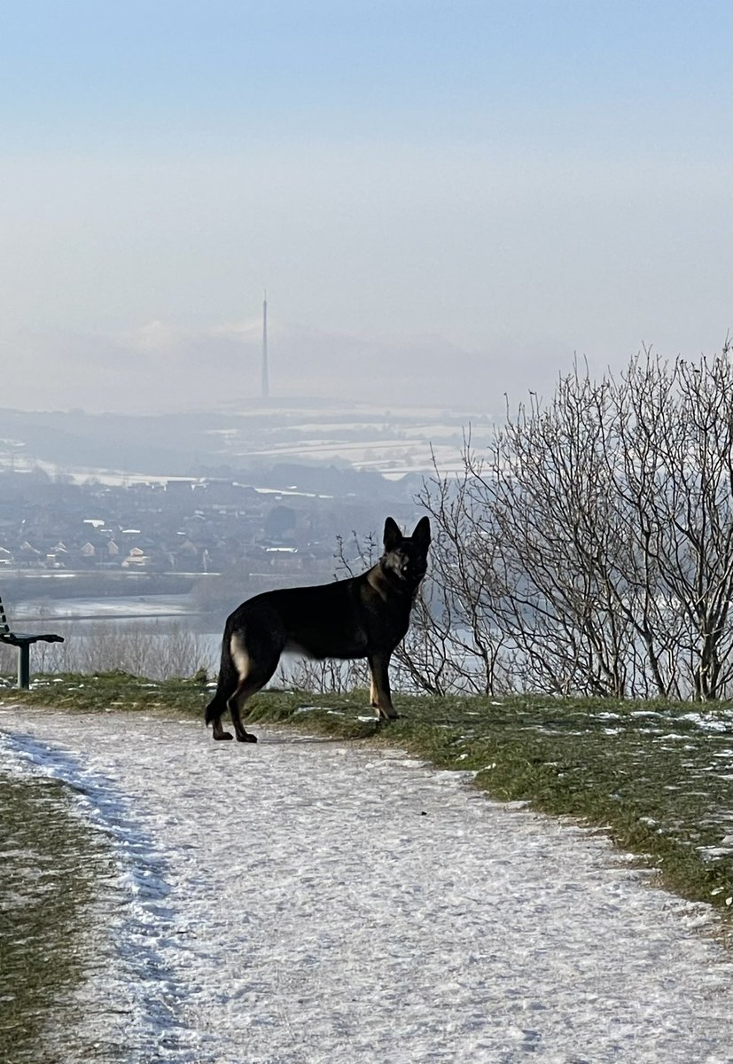 PontePython's tweet image. Eva at Sandal Castle with Emley Moor Tower in the background ❤️