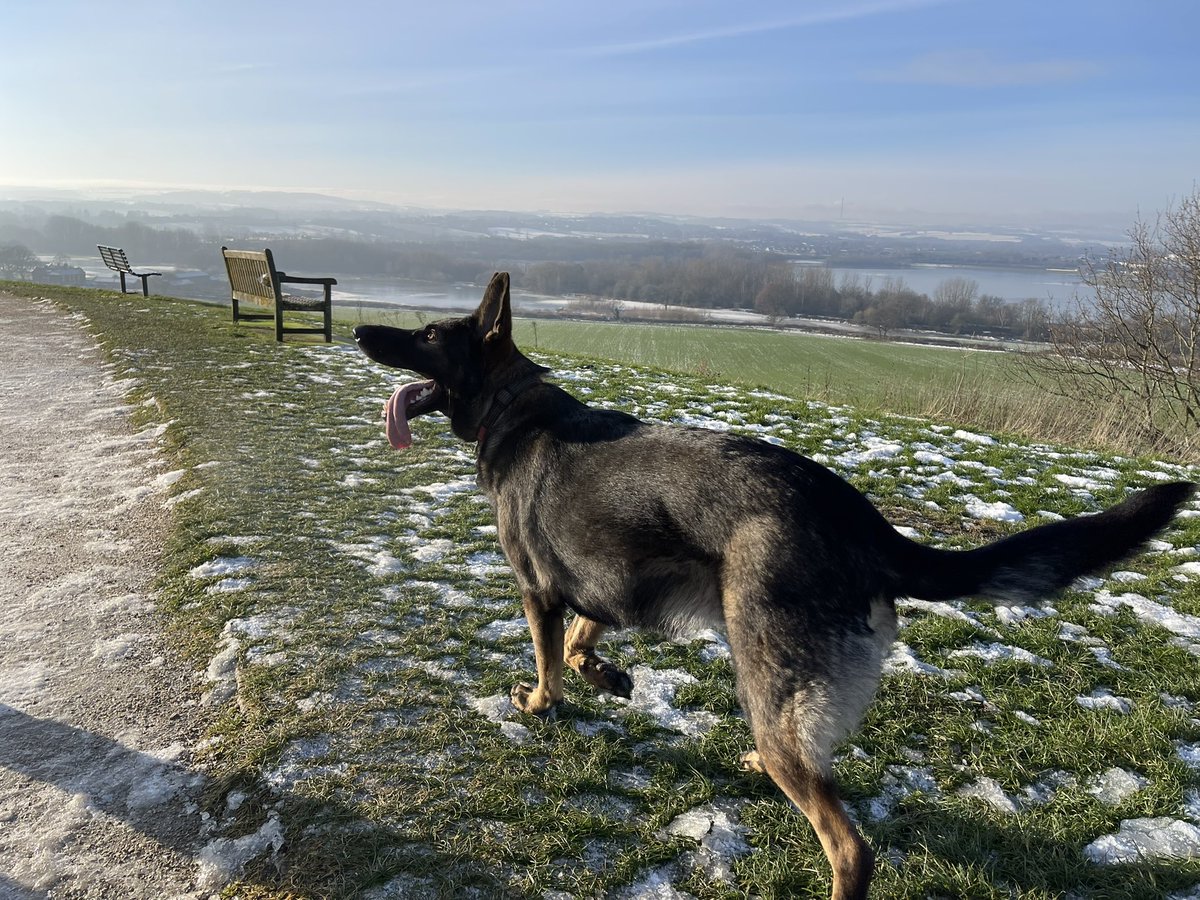 PontePython's tweet image. Eva at Sandal Castle with Emley Moor Tower in the background ❤️