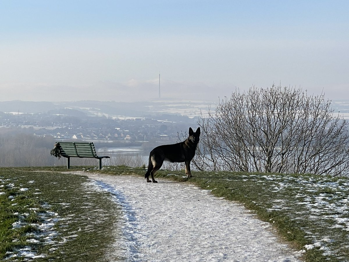 PontePython's tweet image. Eva at Sandal Castle with Emley Moor Tower in the background ❤️