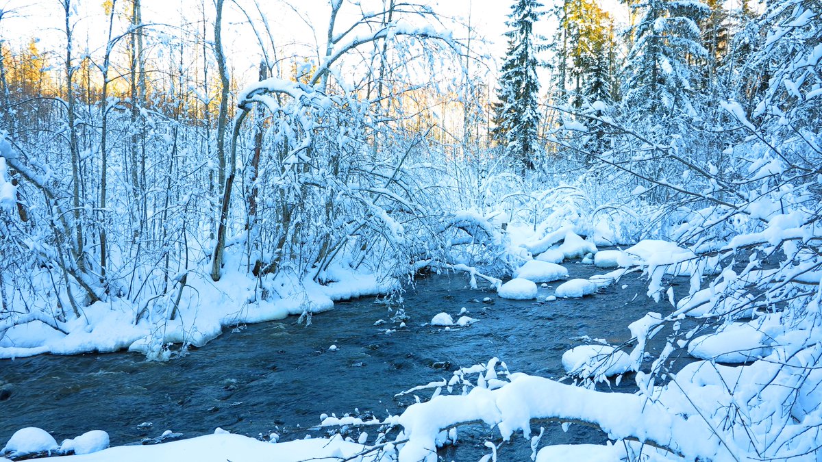Virhon EU Leader osarahoitettu virtavesikunnostusprojekti aloitti tämän vuoden Vantaanjoen vesistön kunnostukset materiaalien kuljetuksella tämän viikon torstaina 9.1. ja kuljetuksia jatkettiin tänään sunnuntaina 12.1.2025.