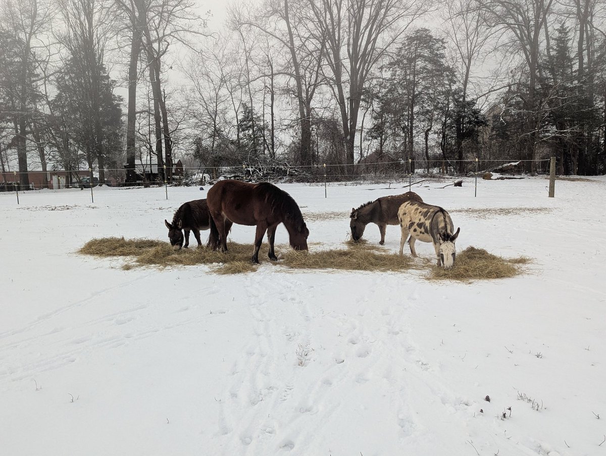 Pretty Cool Snow Fog this AM in Corryton. Going to be a Beautiful Sunny Warm Day.