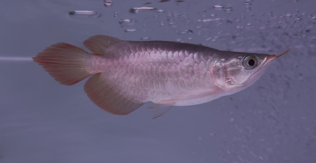 まっちゃん (@nasuka_28) / Posts / X