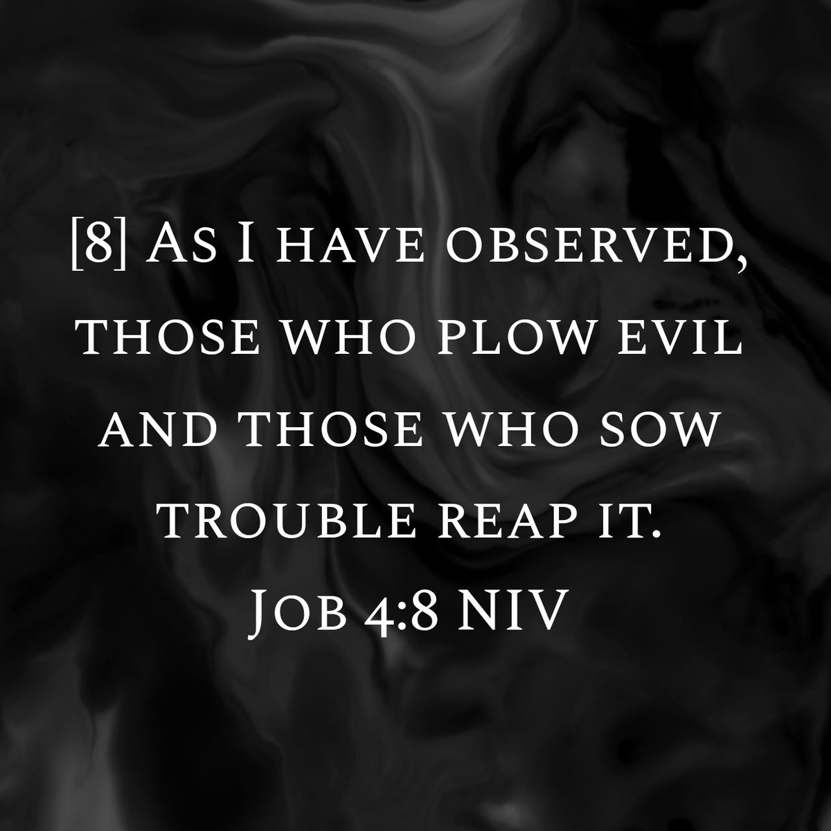 EmmyBreeding's tweet image. 