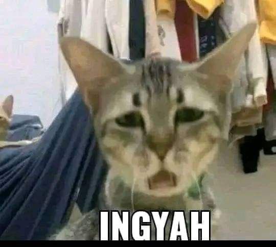 sailormarsse's tweet image. #anitwt pls mutualan sama aku.... apa aja boleeeh tapi homophobic dni yaaa