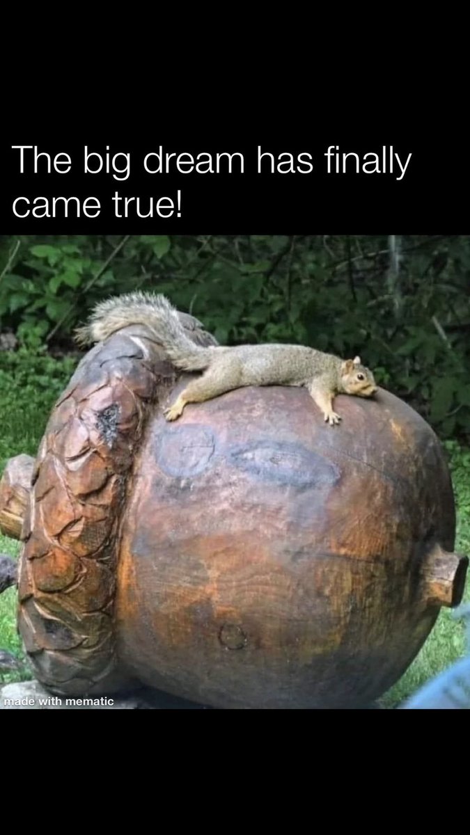 Centerfield6Ray's tweet image. “Dreams can come true…”