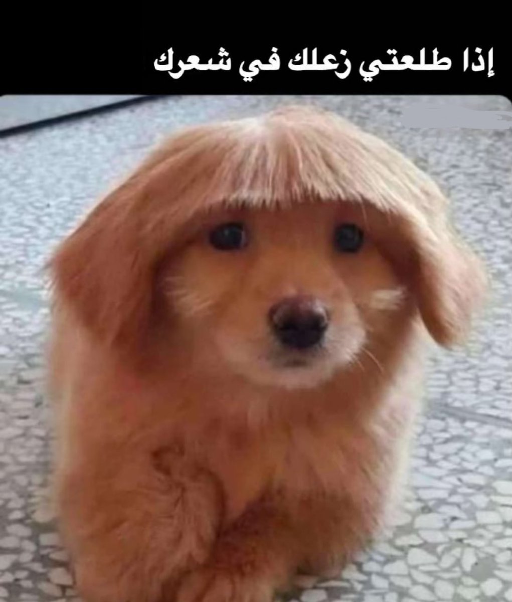 gruutii's tweet image. 