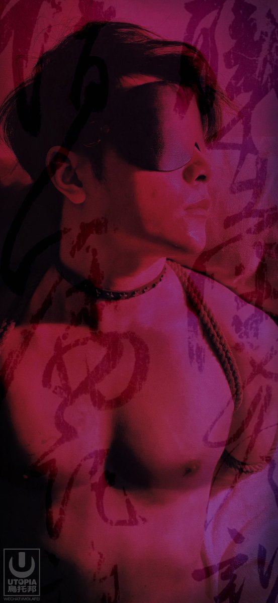 飛 (@imolafei) on Twitter photo 