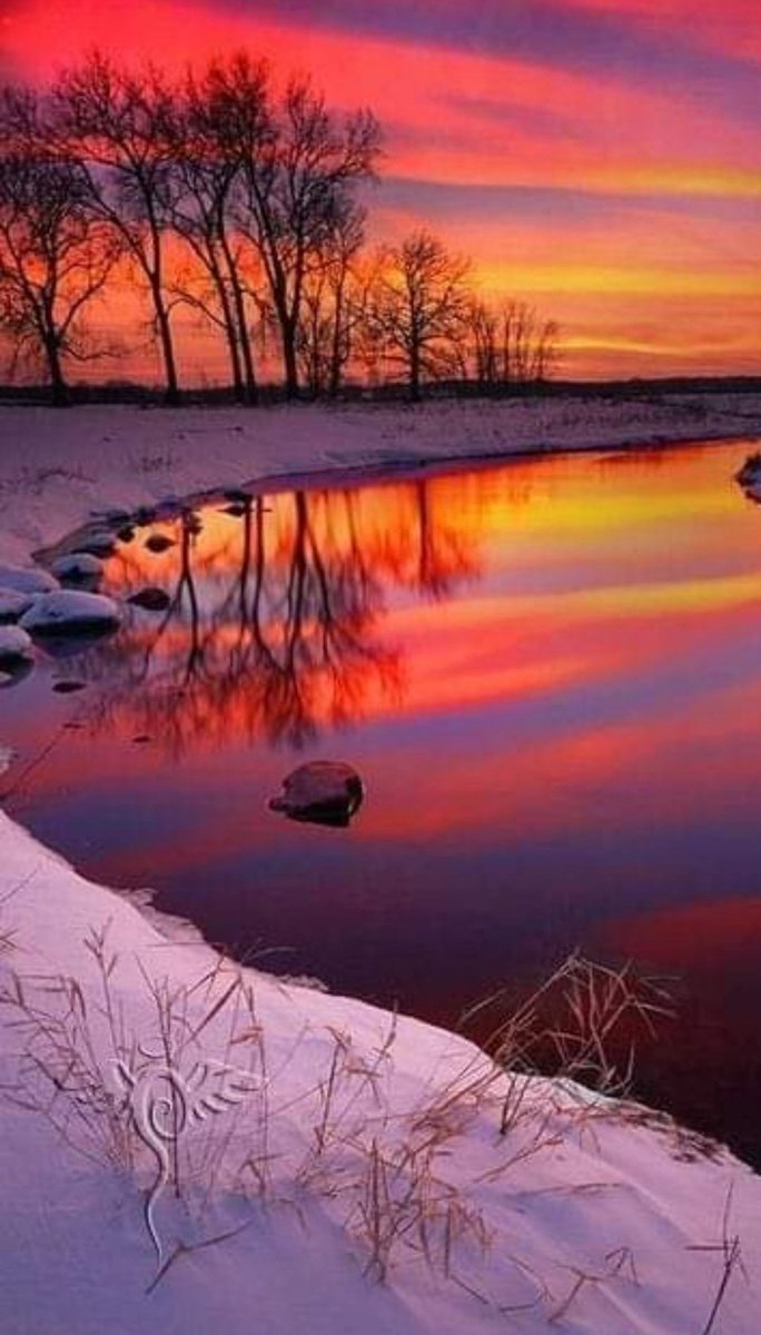 Miep51082958's tweet image. #WinterSunset