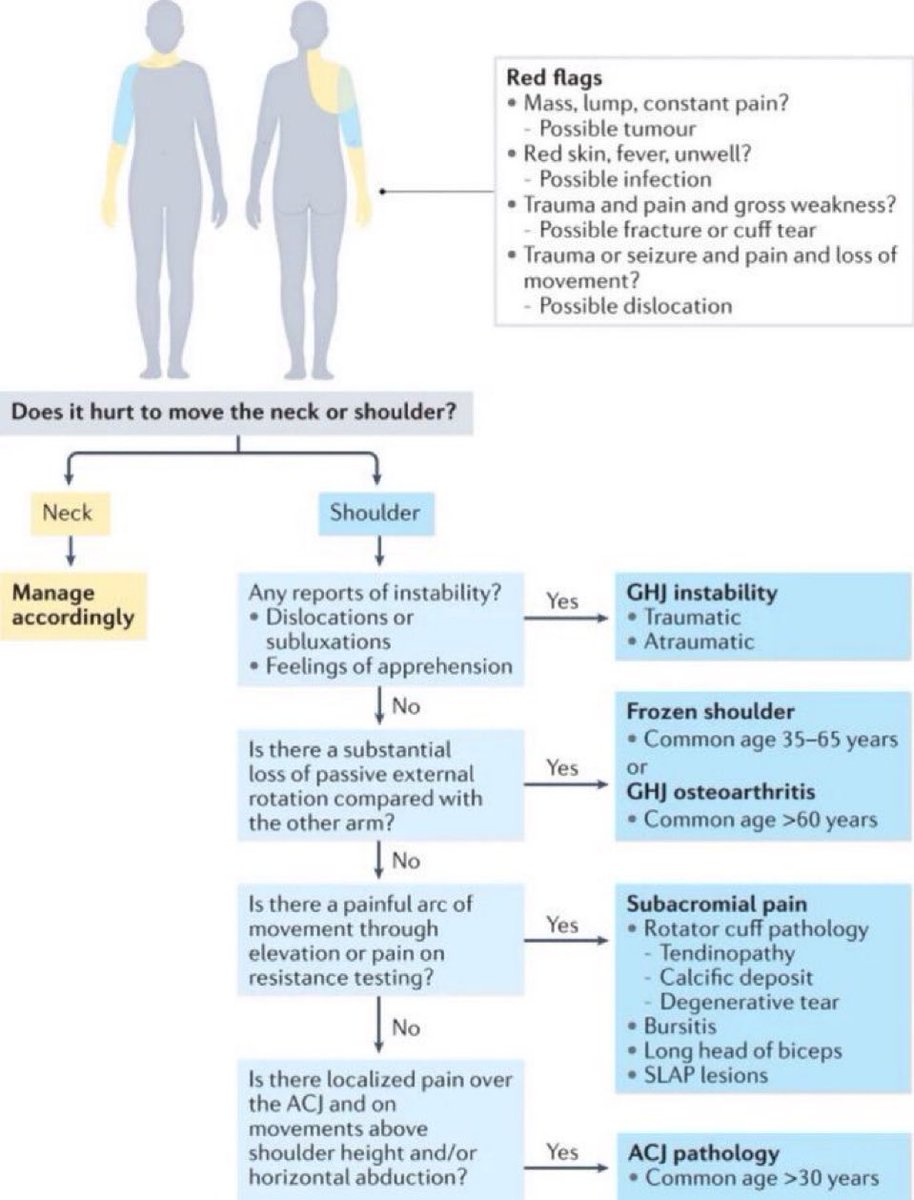 Omid_HopeUni's tweet photo. Algorithm for differential diagnosis of “Frozen Shoulder”👇🏼

#shoulder #joint #frozenshoulder 

https://t.co/i6O8POX8fD https://t.co/0HkL0emsNt