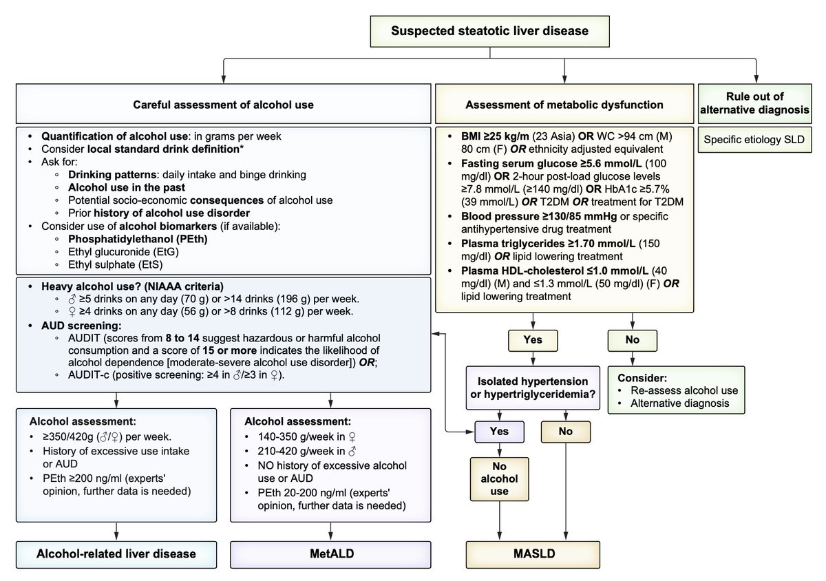 Luis Antonio Díaz, MD (@luisantoniodiaz) on Twitter photo We are thrilled to share our article MetALD: Position statement by an expert panel on alcohol-related liver disease in <a href="/JHepatology/">Journal of Hepatology</a>
👉 authors.elsevier.com/c/1kOr5cOnAUhQK
A big collaborative effort led by <a href="/juanpabloarab/">Juan Pablo (JP) Arab, MD </a> & <a href="/MATHURINPHILIP1/">MATHURIN PHILIPPE</a> <a href="/AASLDtweets/">AASLD</a> <a href="/EASLnews/">EASLnews</a> <a href="/alehlatam/">ALEH</a> #livertwitter We are thrilled to share our article MetALD: Position statement by an expert panel on alcohol-related liver disease in <a href="/JHepatology/">Journal of Hepatology</a>
👉 authors.elsevier.com/c/1kOr5cOnAUhQK
A big collaborative effort led by <a href="/juanpabloarab/">Juan Pablo (JP) Arab, MD </a> & <a href="/MATHURINPHILIP1/">MATHURIN PHILIPPE</a> <a href="/AASLDtweets/">AASLD</a> <a href="/EASLnews/">EASLnews</a> <a href="/alehlatam/">ALEH</a> #livertwitter
