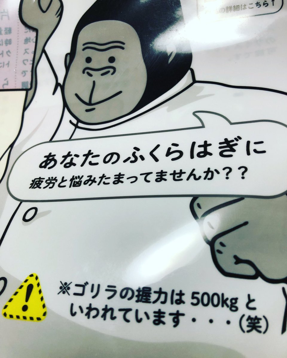 プレゼントでもらったゴリラのひとつかみ、パッケージは何わろとんねんお前?!て感じだけど本当に締め付けが凄くて「😫あ゛…あ゛…(瀕死の悟飯)」みたいな声が出る
これよりストロングなやつってどうなるんだろう…… 