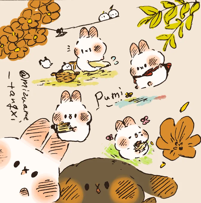 ぷみぷみぽぷ 🌼
(〇・×・〇)(〇・Y・〇)

#ぷみうさぎ #ぽぷうさぎ 
