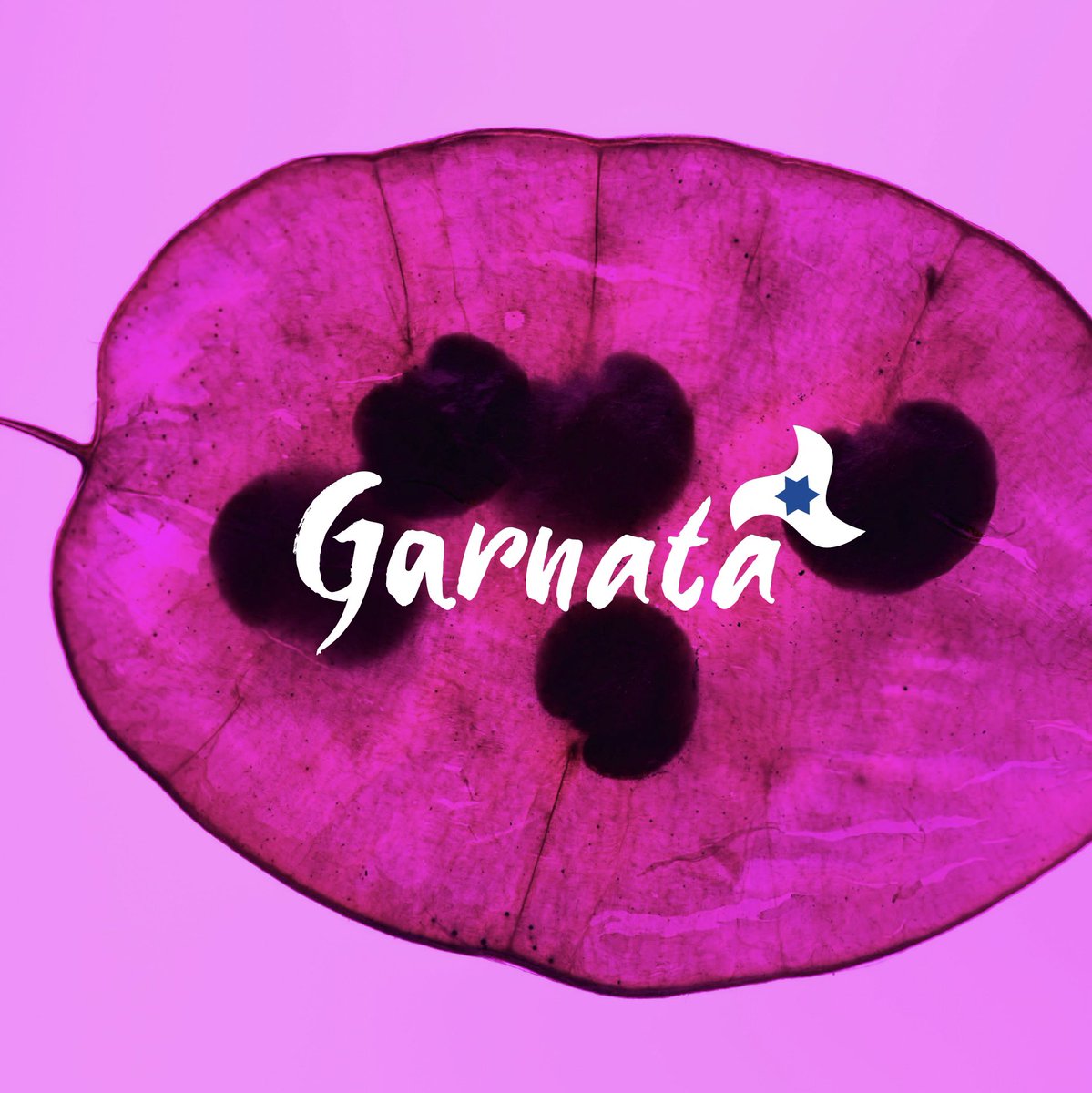 lanbrue's tweet photo. Estrenamos nuestro logo 🎨 Esperamos que os guste y apuntad el 6 de febrero, muy pronto noticias musicales 🎵
#music #musica #granada #garnata https://t.co/CGpnii0rJq