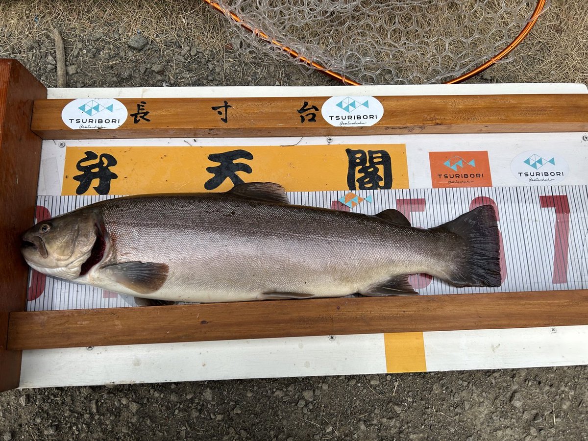 yoshikofu1213's tweet photo. tsuribori 弁天閣さん
60㎝出ました!
スタッフの皆さんとてまも親切で良い釣り場。
お兄さんのアドバイス通りやったら釣れました!
そして、lcmax ss
おおつかオリカラ
良い仕事してくれます!
#弁天閣
#おおつか
#lcmaxss
#tsuribori弁天閣 https://t.co/n7PlTXZkH8