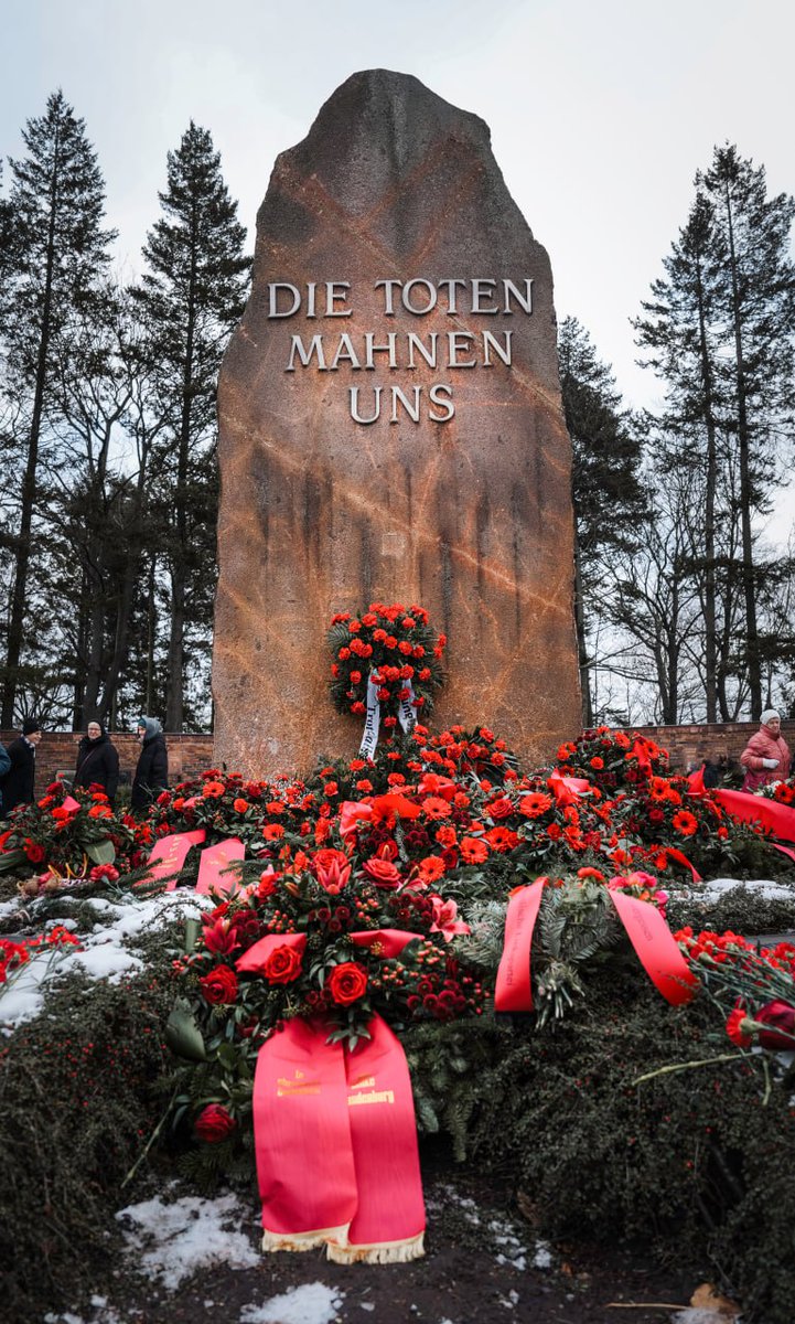 Die Linke Berlin tweet media