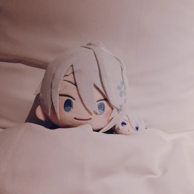 おやすみなさい、良い夜を