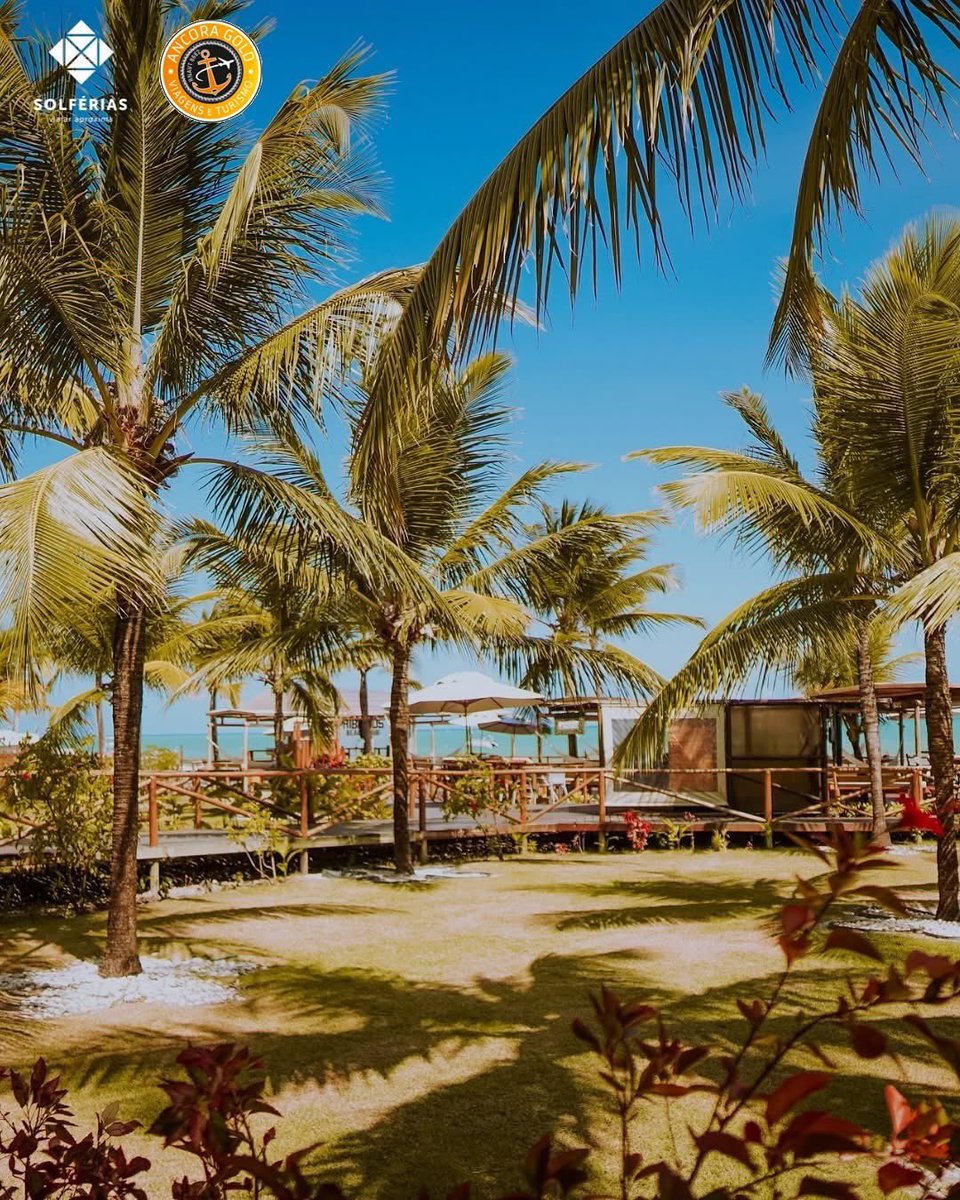 stefanemota1's tweet photo. O Hibiscus Beach Club fica situado num dos cenários mais bonitos do litoral norte de #Maceió, na praia de #Ipioca. Conhecido pela combinação perfeita entre conforto, boa música e o mar cristalino típico da região, https://t.co/AYkf76AZQe