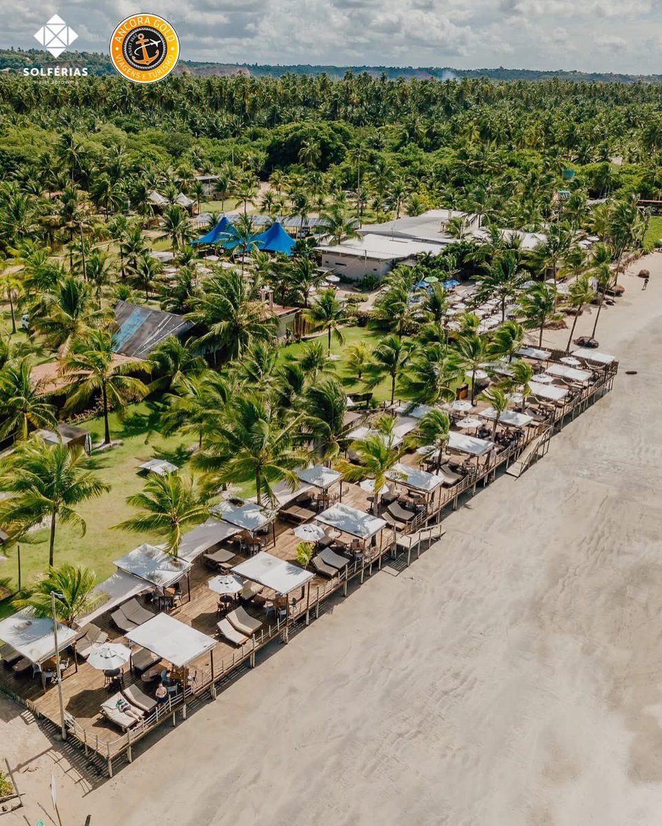 stefanemota1's tweet photo. O Hibiscus Beach Club fica situado num dos cenários mais bonitos do litoral norte de #Maceió, na praia de #Ipioca. Conhecido pela combinação perfeita entre conforto, boa música e o mar cristalino típico da região, https://t.co/AYkf76AZQe