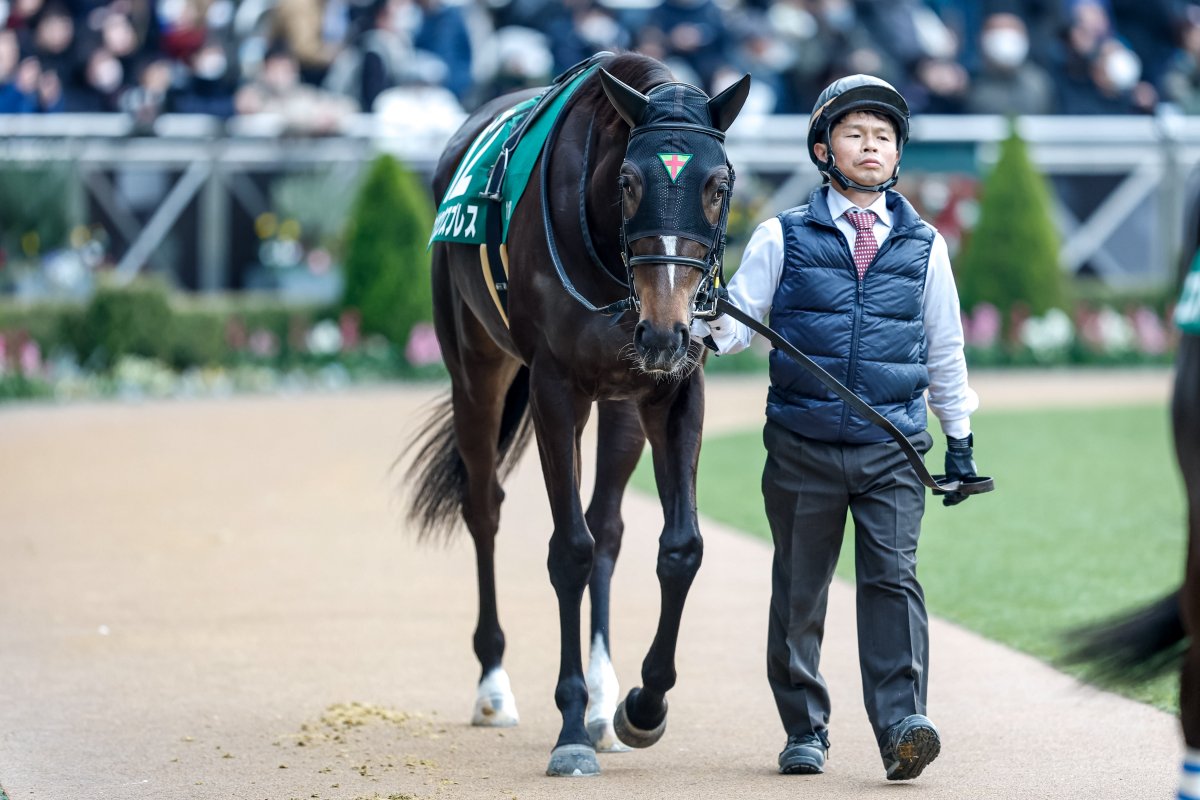 netkeiba's tweet photo. 歴代最速の時計で一躍クラシック候補に
#エリカエクスプレス
#戸崎圭太
#フェアリーステークス
https://t.co/FQrUzuVtgj
撮影：下野雄規 https://t.co/G7kVq17s7B
