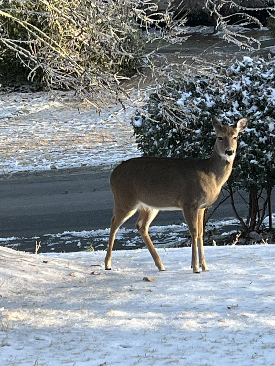 @kuhnbobio tweet media