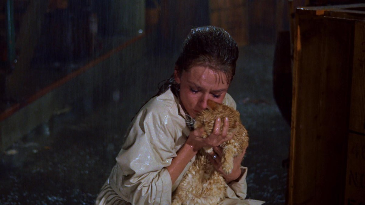 SoAudreyHepburn's tweet photo. Audrey Hepburn and Orangey photographed for Breakfast at Tiffany's, 1961 https://t.co/OaHghW3zAa