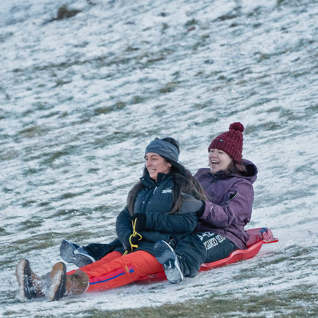 Metroparks Toledo tweet media