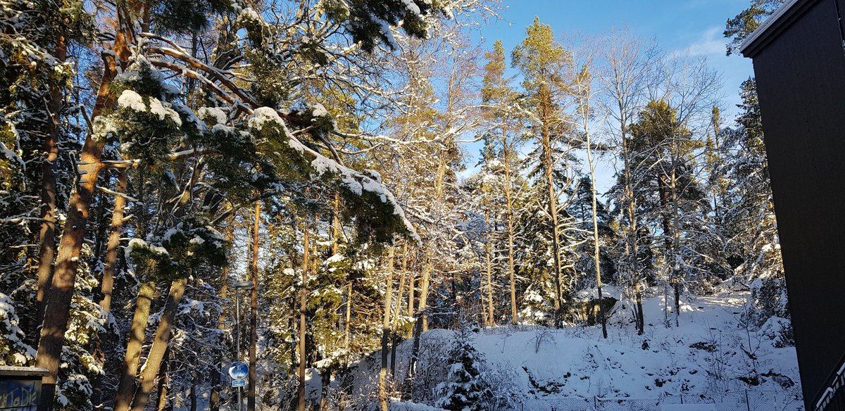 rogerjd1's tweet photo. Vacker vinterväder andra söndagen i januari nådens år 2025. https://t.co/agItO0bShe