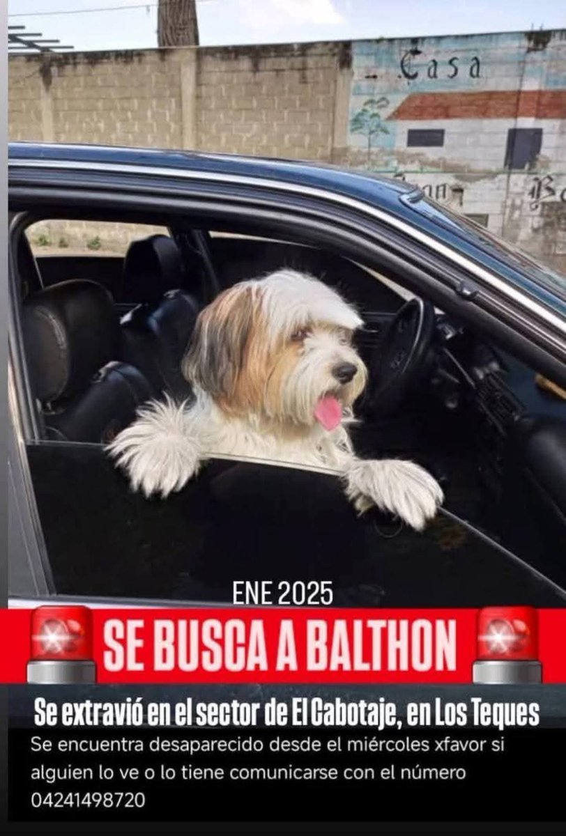 Se busca a Balthon, Los Teques sector el Cabotaje