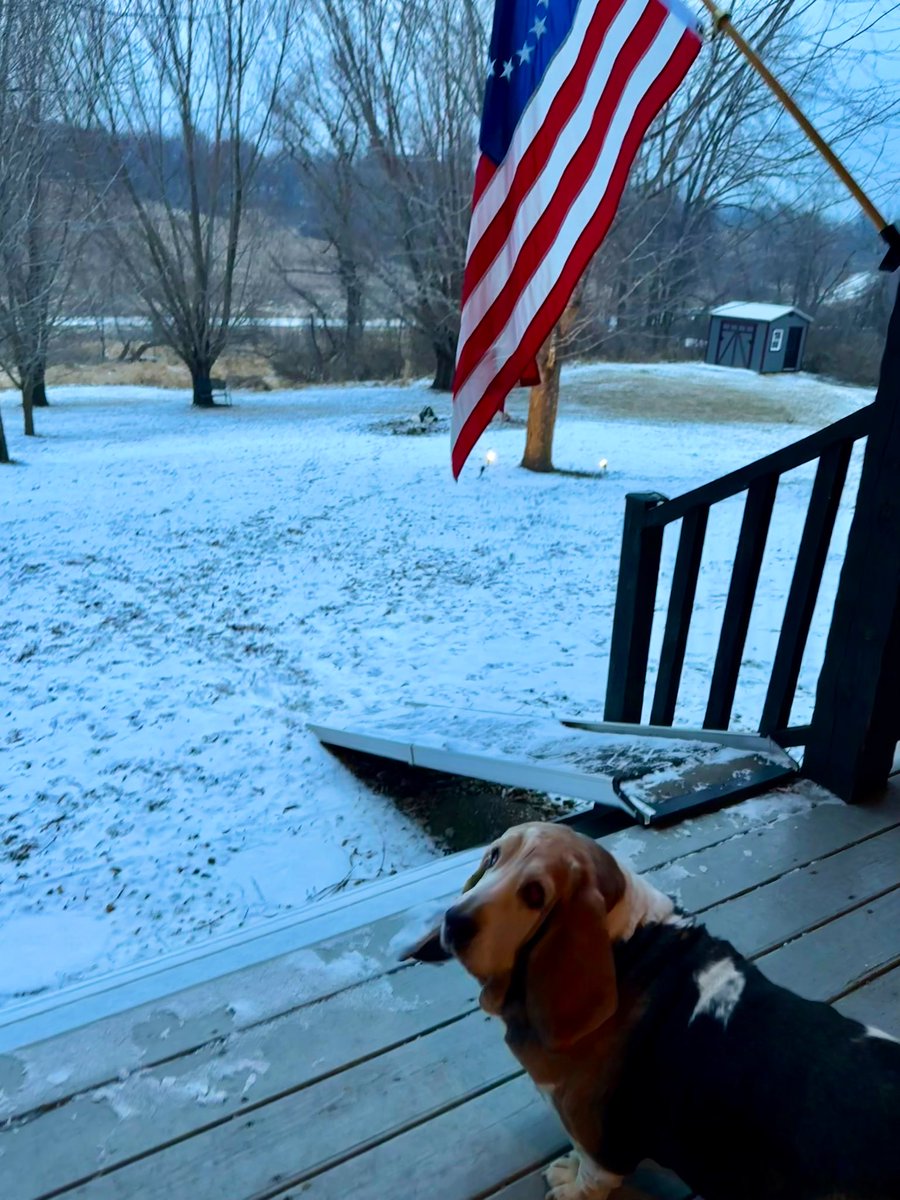 MocklerBassets's tweet photo. #Wisconsin is supposed to have the #BigSnow❄️☃️❄️but it keeps missing us. https://t.co/qVocSCKiA5