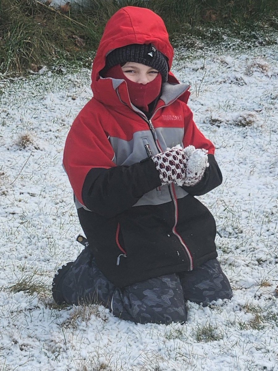 WeirErnie's tweet photo. #WeekBforBB #AlphabetChallenge Boys makes snow Ball makes Bob the miniature snowman, Black dog Brings Branch, Breaks Bob, RIP Bob, and lastly Bob 2 https://t.co/VaD8wClC6x