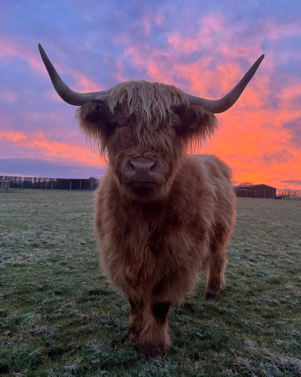 Greendale Farm Shop tweet media