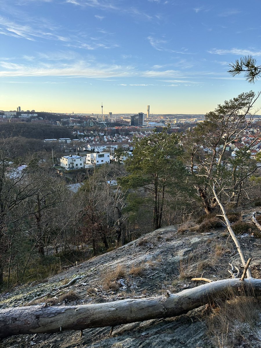 urban_scott's tweet photo. Skogspromenad - man måste ju tänka på steg-statistiken … 😎🥾🌲⛰️ 🇸🇪 #Delsjön #Göteborg #Framsidan https://t.co/M3R40YvL4w