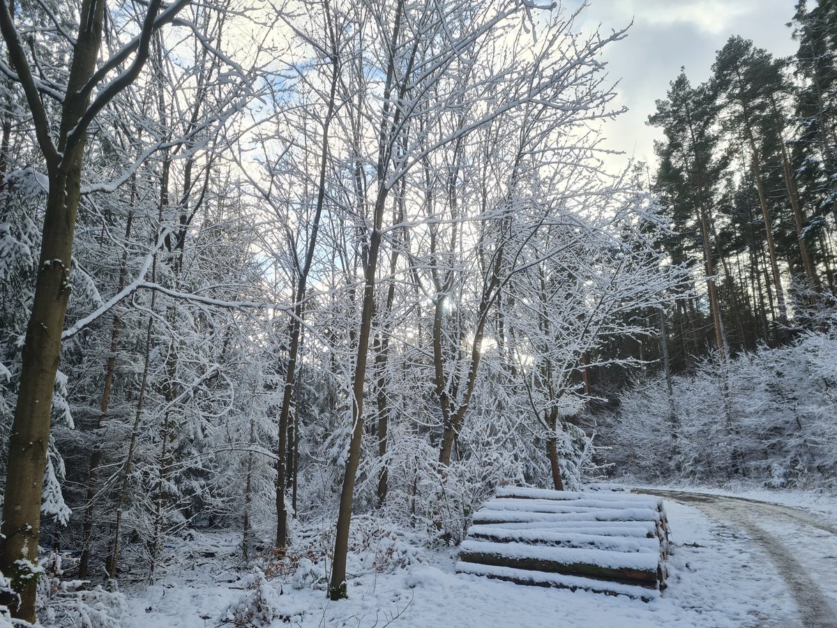 Winterrunde ❄️ 🌞🚶‍♂️