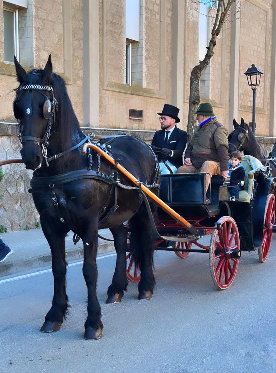 GilVilarrasaMas's tweet photo. Avui hem tret els carros i el bestiar a passeig! Primers Tonis de la temporada!
#Tonis #TresTombs https://t.co/qMG888l96t