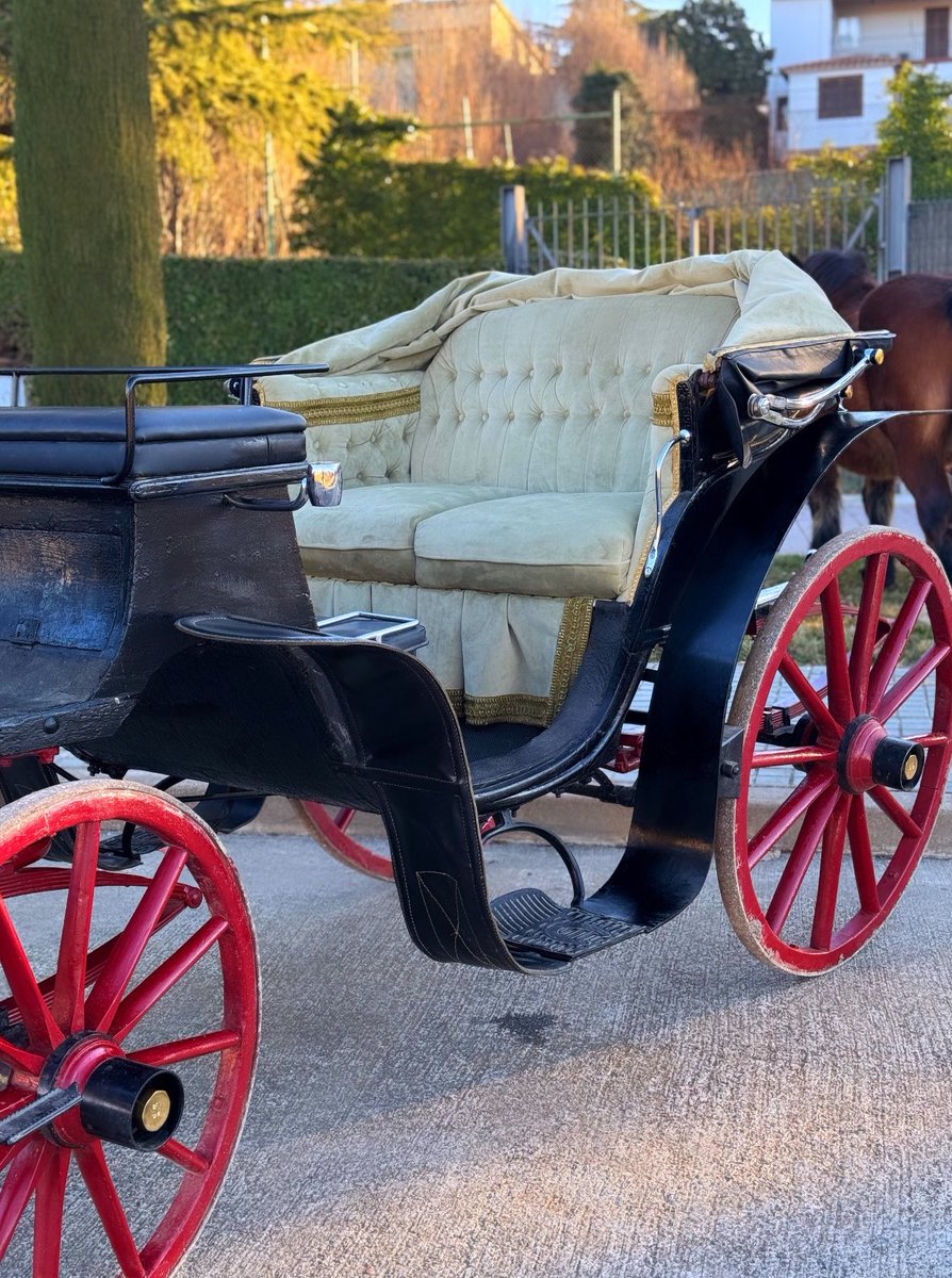 GilVilarrasaMas's tweet photo. Avui hem tret els carros i el bestiar a passeig! Primers Tonis de la temporada!
#Tonis #TresTombs https://t.co/qMG888l96t