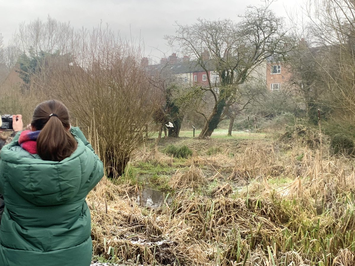 A huge thank you to those hardy souls who joined us for our first ever ‘Herts Young Birders’ event this morning.

Our visit to the Watercress Nature Reserve provided a stunning opportunity to explore and learn more about the species of birds found on our doorstep.