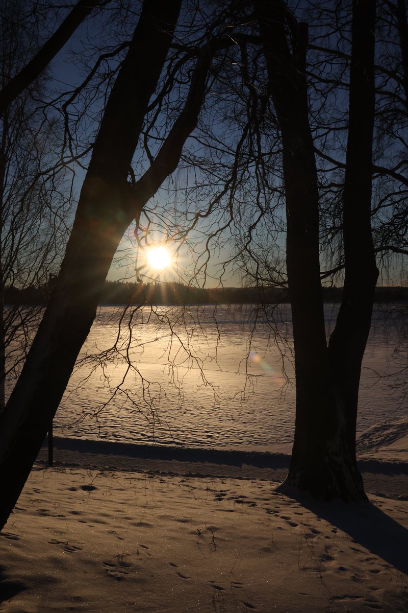Sunny day at the arboretum

#January #winter #sun #sundayvibes #photography #photographer #photographylife #photoop #nature #wintersun #vitamind #NaturePhotography #outing #niceday