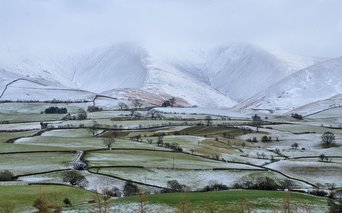 MaureenPlatts's tweet image. 