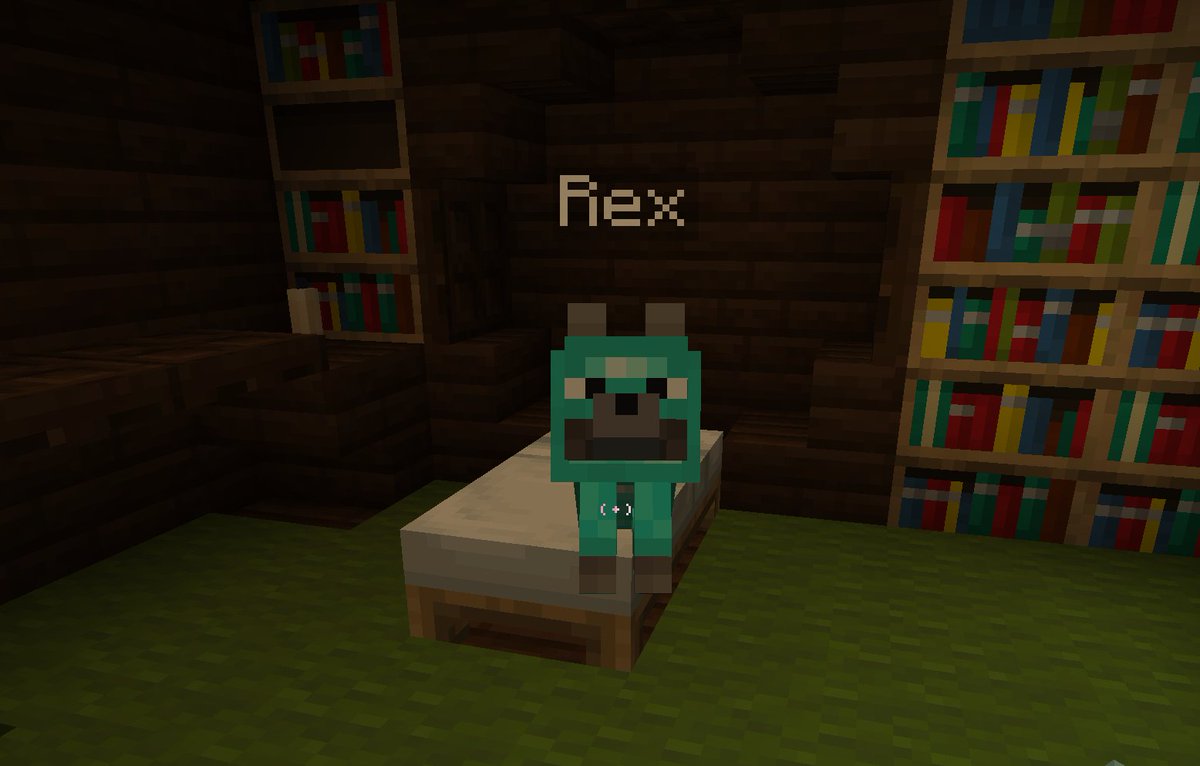 Thinking about the time my friend gave my minecraft wolf infinite health so it could never die because I named him after my dog that passed away.