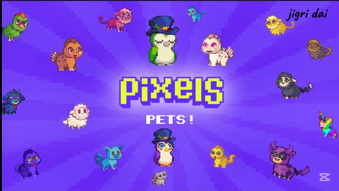 Jigri dai | TADO tweet media