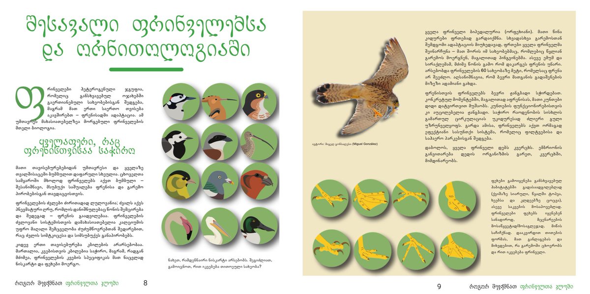 Batumi Raptor Count (@batumiraptors) on Twitter photo Education by BRC!
This year, we continued our education project at schools around the Batumi bottleneck.🧑🏫 We focussed on assisting educational centers that are working with our recently published education booklet to raise awareness about birds and the environment!🦅🍀
🧵1/3 Education by BRC!
This year, we continued our education project at schools around the Batumi bottleneck.🧑🏫 We focussed on assisting educational centers that are working with our recently published education booklet to raise awareness about birds and the environment!🦅🍀
🧵1/3
